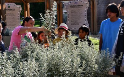 Learning from the Land: Harvesting Sage & Sweetgrass